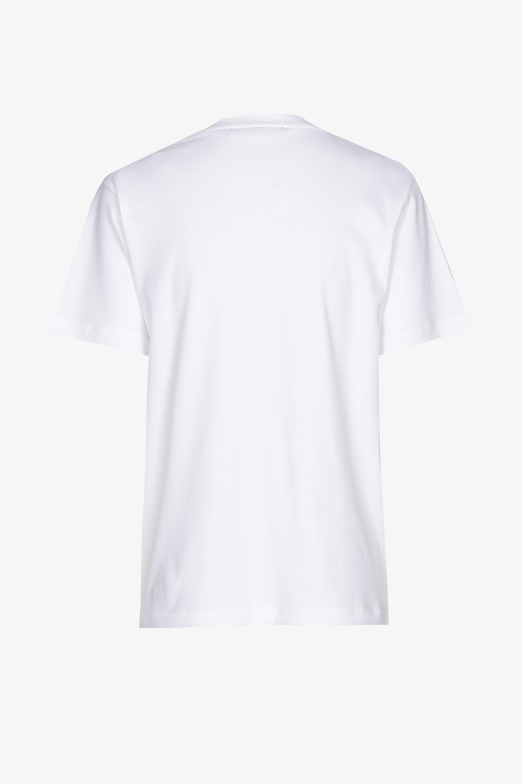 T-shirt met V-hals en korte mouwen