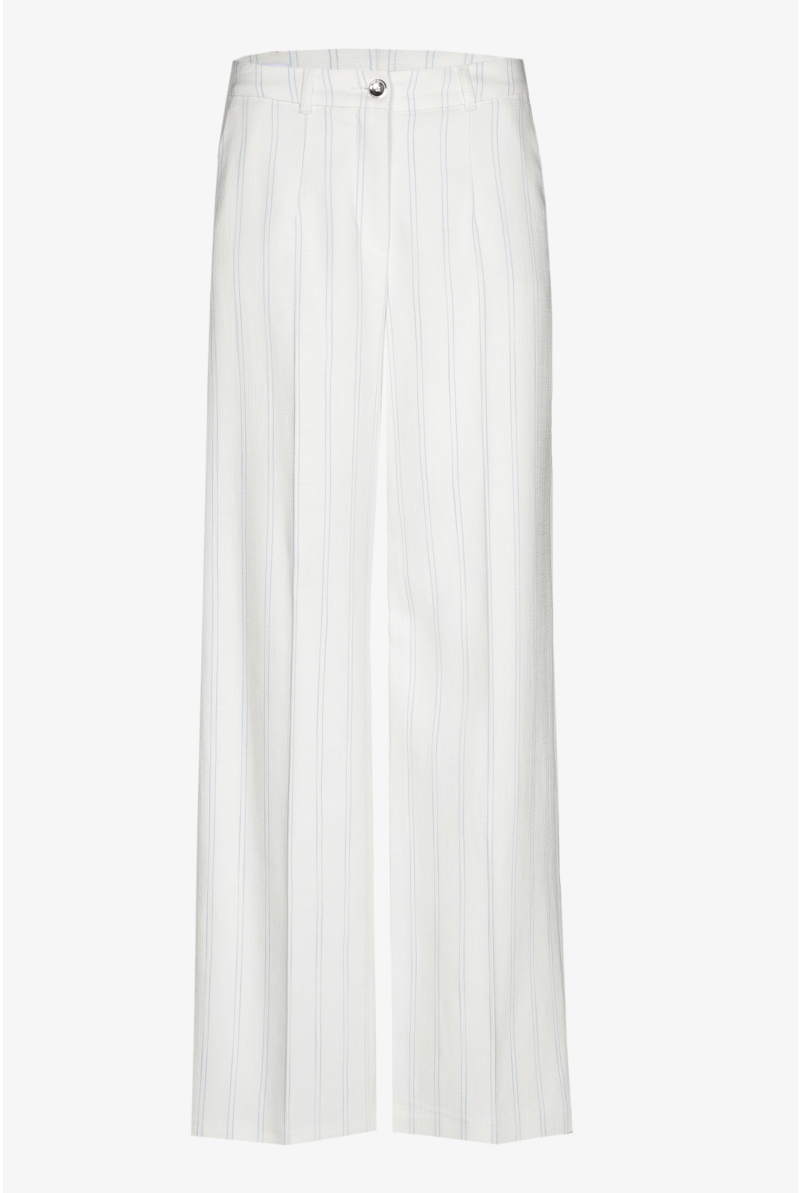 Stylish trousers with pinstripes