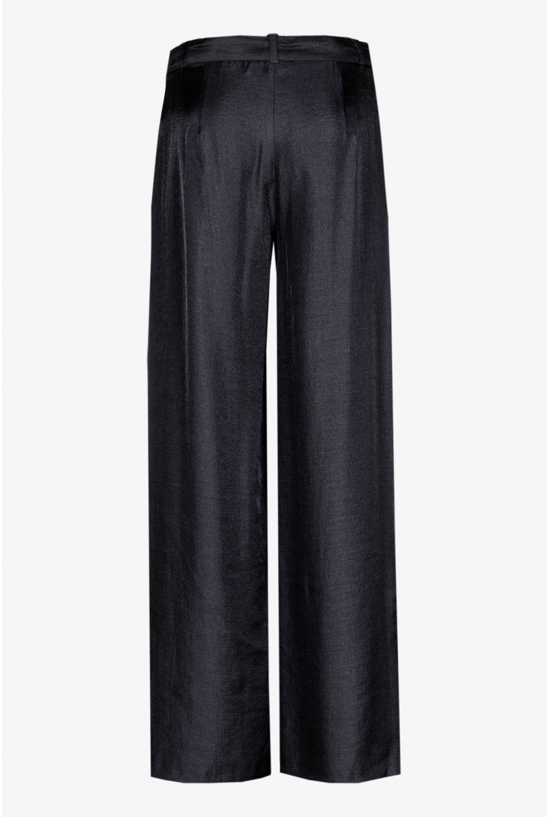 Pantalon brillant à pli marqué