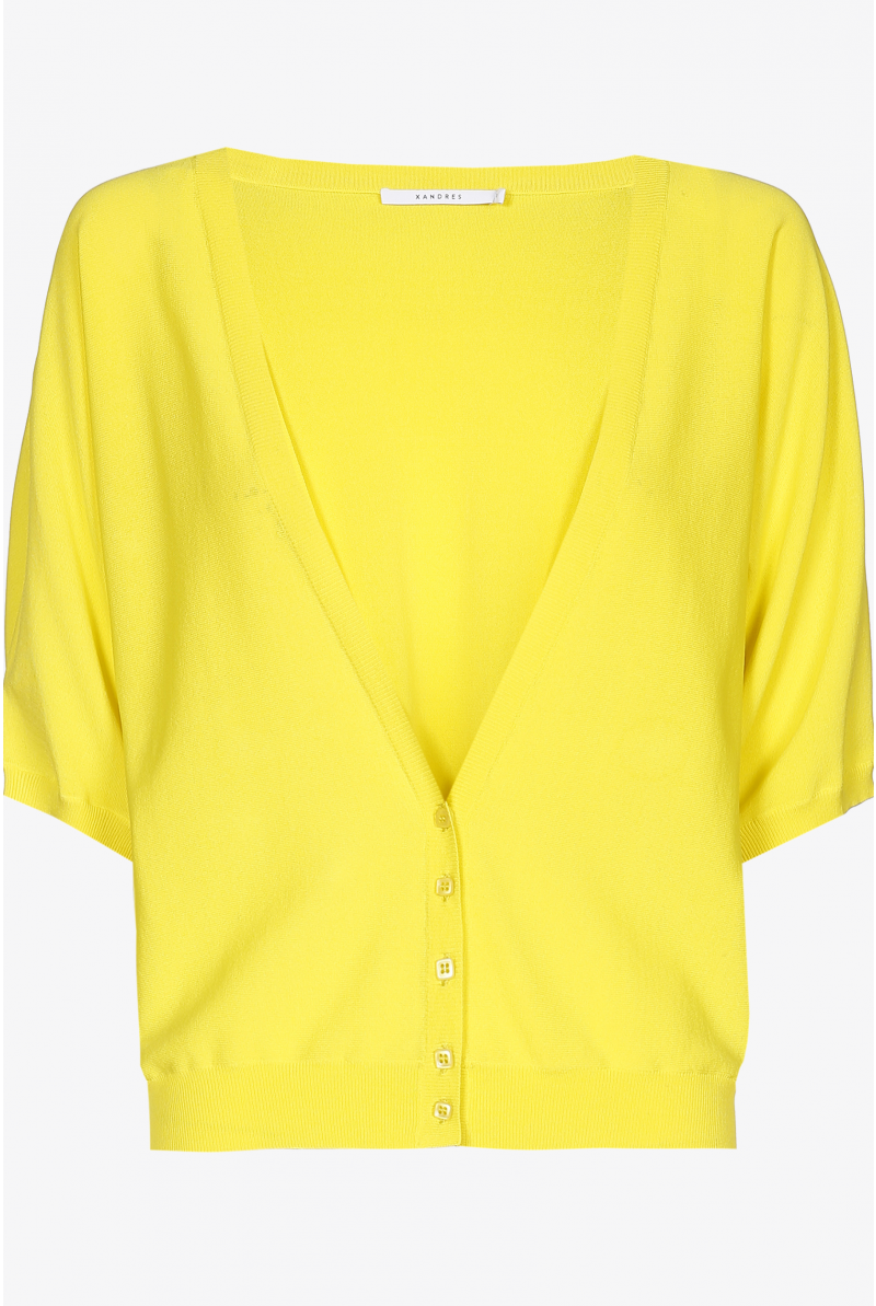 Gilet met diepe V-hals