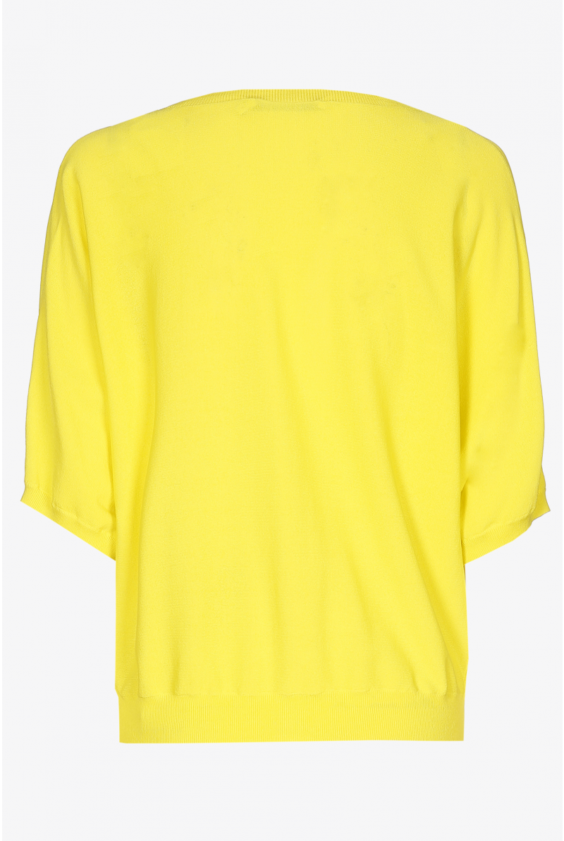 Gilet met diepe V-hals