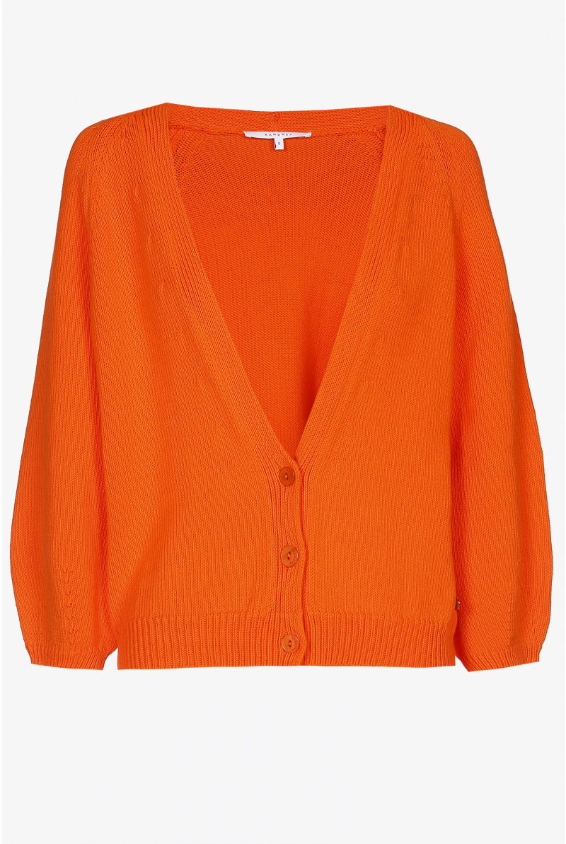 Gilet met pofmouw 