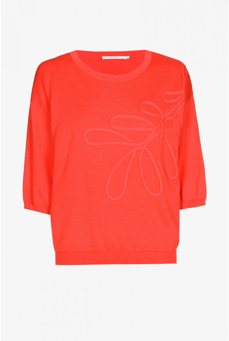 Pull met borduur