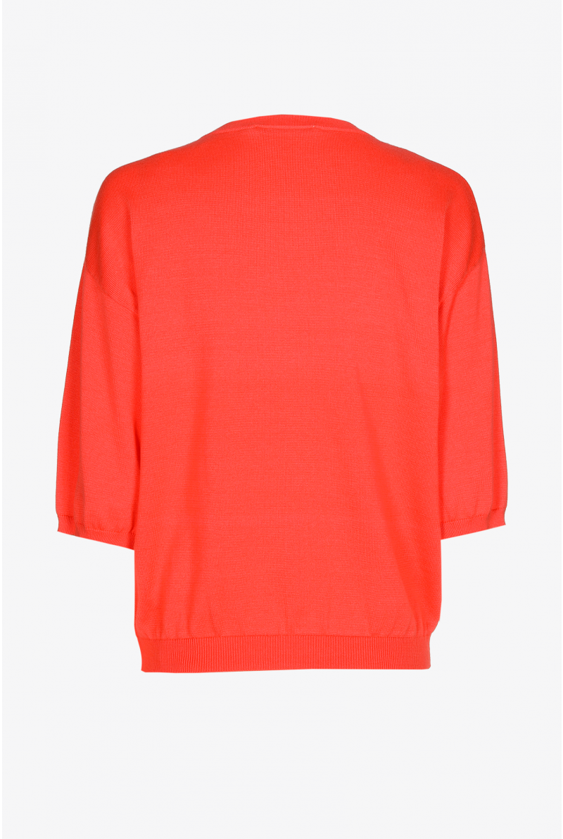Pull met borduur
