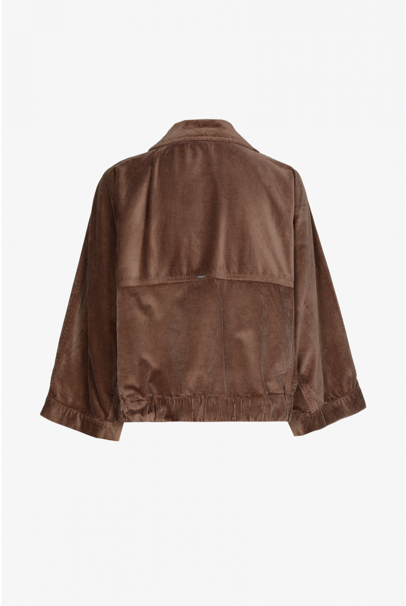 Overhemdblouse in ribfluweel