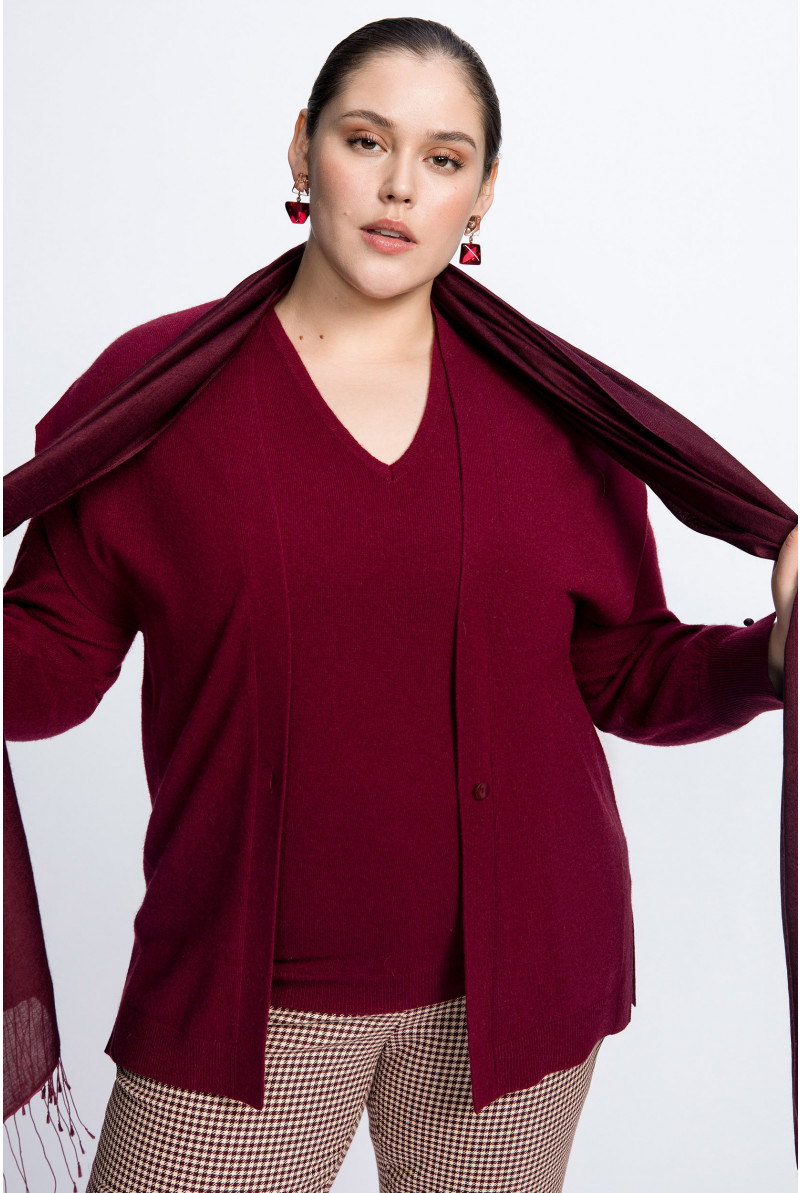 Weicher Pashmina-Schal in zeitloser Farbe