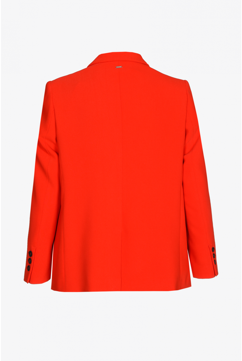 Vrouwelijke blazer