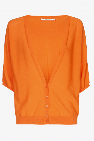 Gilet met diepe V-hals
