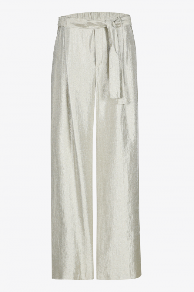 Pantalon brillant à pli marqué