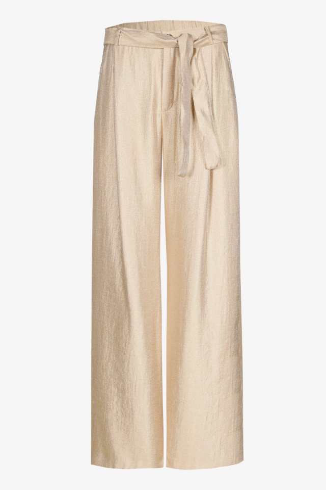 Pantalon brillant à pli marqué