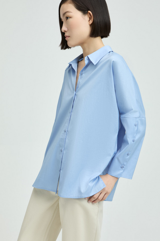 Long shirt blouse