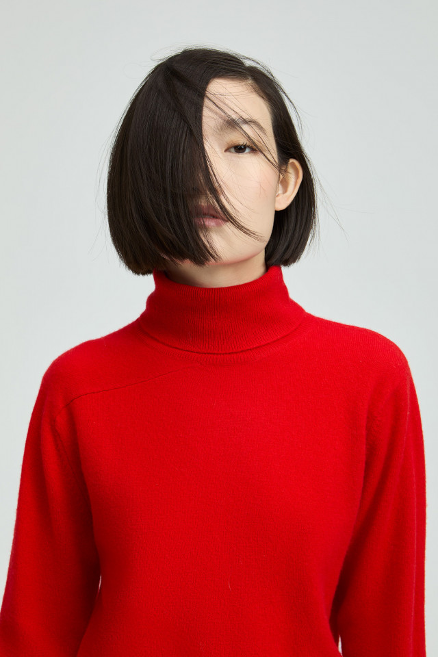 Trui in cashmere met rolkraag