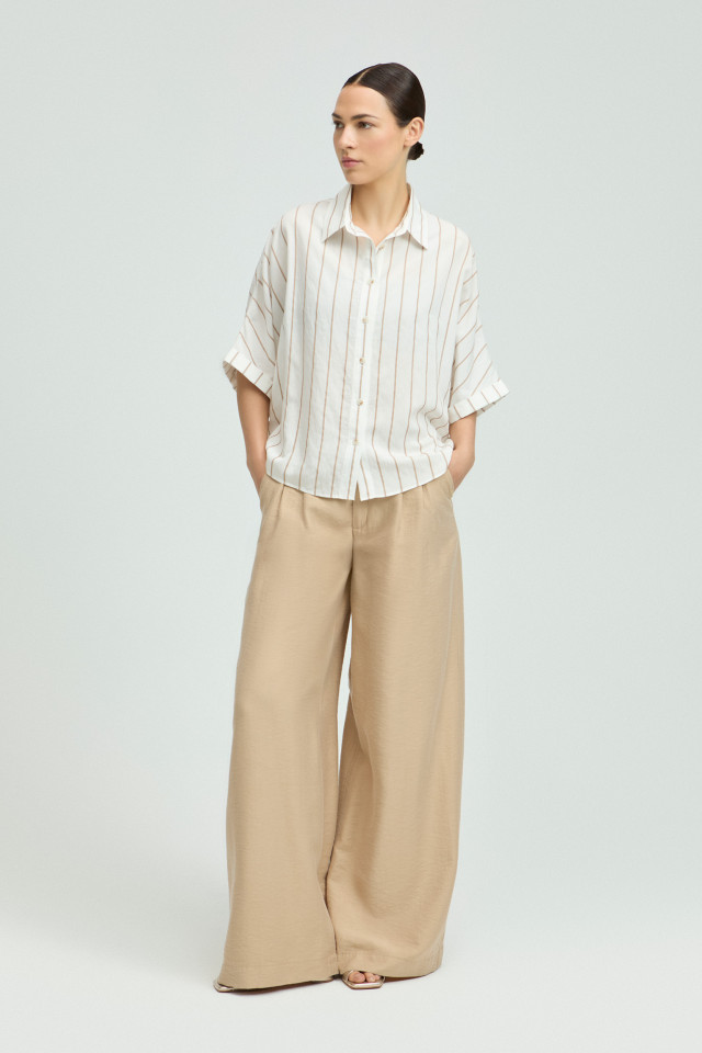 Lookbook: Blouse met pinstripe + Feestelijke hakken + Bandplooibroek met wijde pijpen